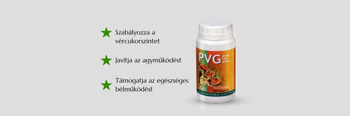 Pecsetviaszgomba-ganoderma-slideA3